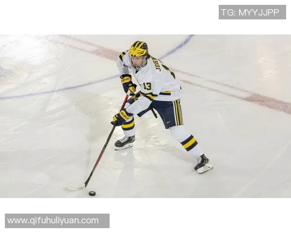 利特马宁的传奇人生与职业生涯回顾：从冰球新星到国际舞台的璀璨巨星