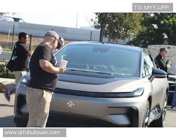 天猫与太阳的市场竞争分析及未来发展趋势探讨