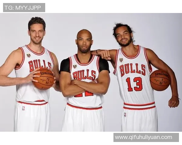 奇才与公牛历史交锋记录分析及未来对决展望