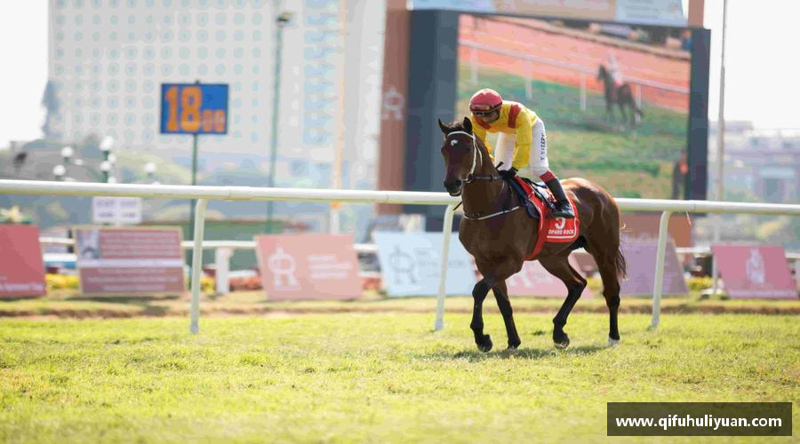 BB电子在线勇攀高峰，无所畏惧！